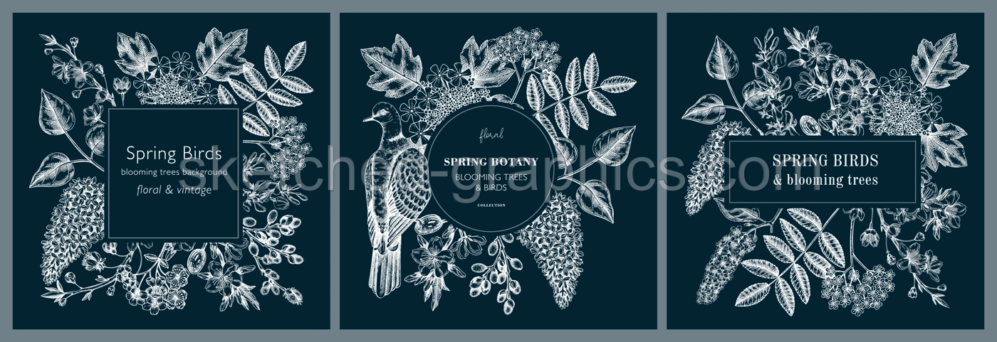 Spring hand drawn frames isolated on chalkboard. Floral wreath designs with birds and blooming trees. Cherry, almond, willow, rowan, currant, Japanese quince, lilac in flowers sketches for cards Illustration
